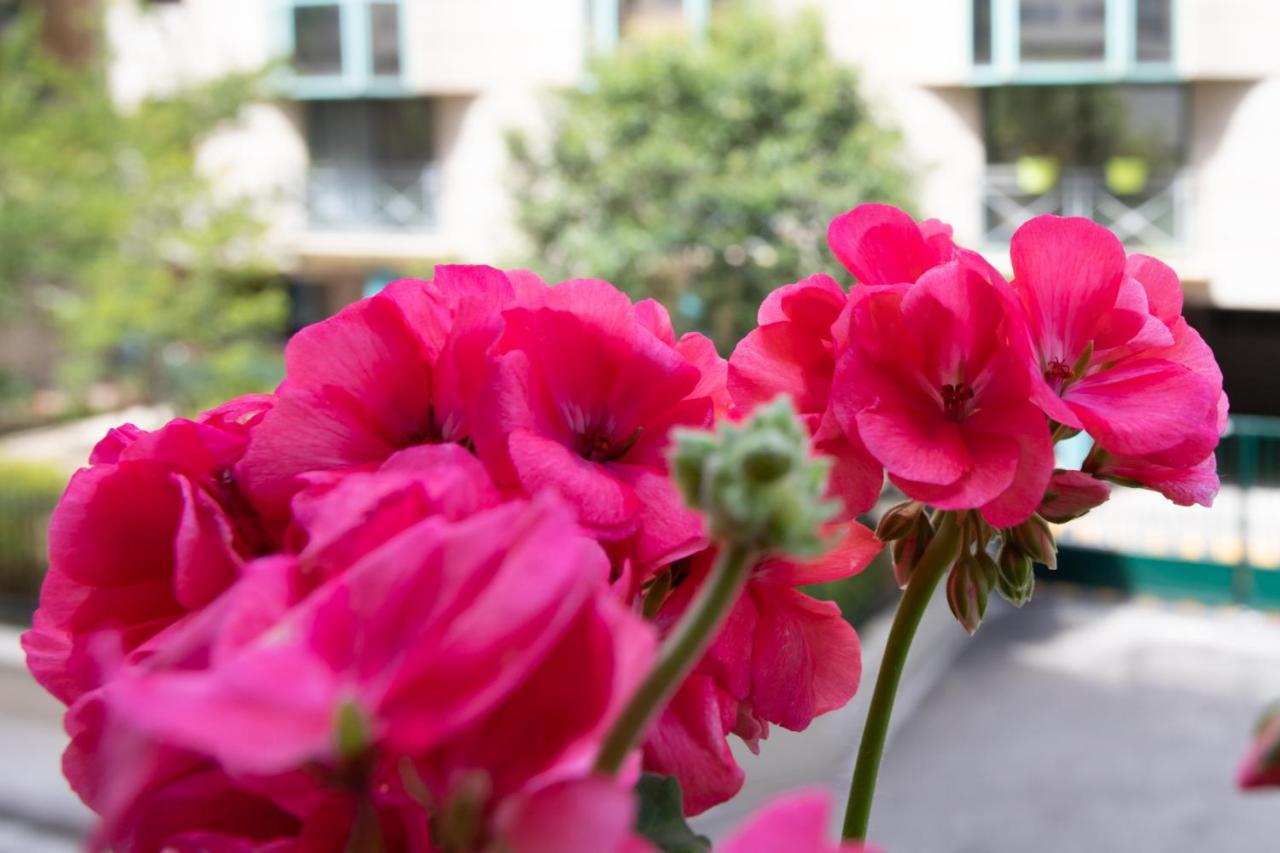 ניס Boutique Apartment La Lavande Free Parking 10 Min Walk מראה חיצוני תמונה