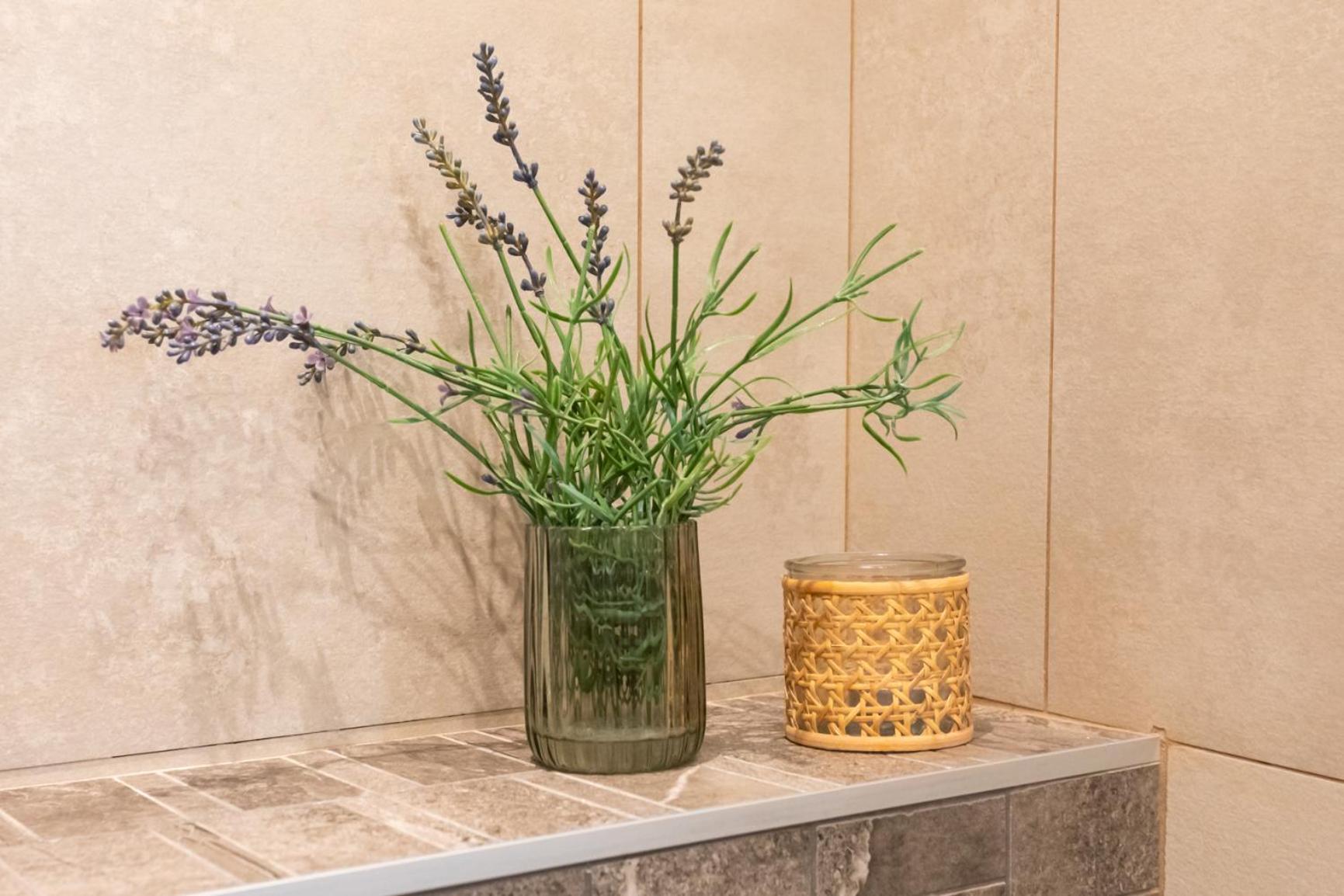 ניס Boutique Apartment La Lavande Free Parking 10 Min Walk מראה חיצוני תמונה